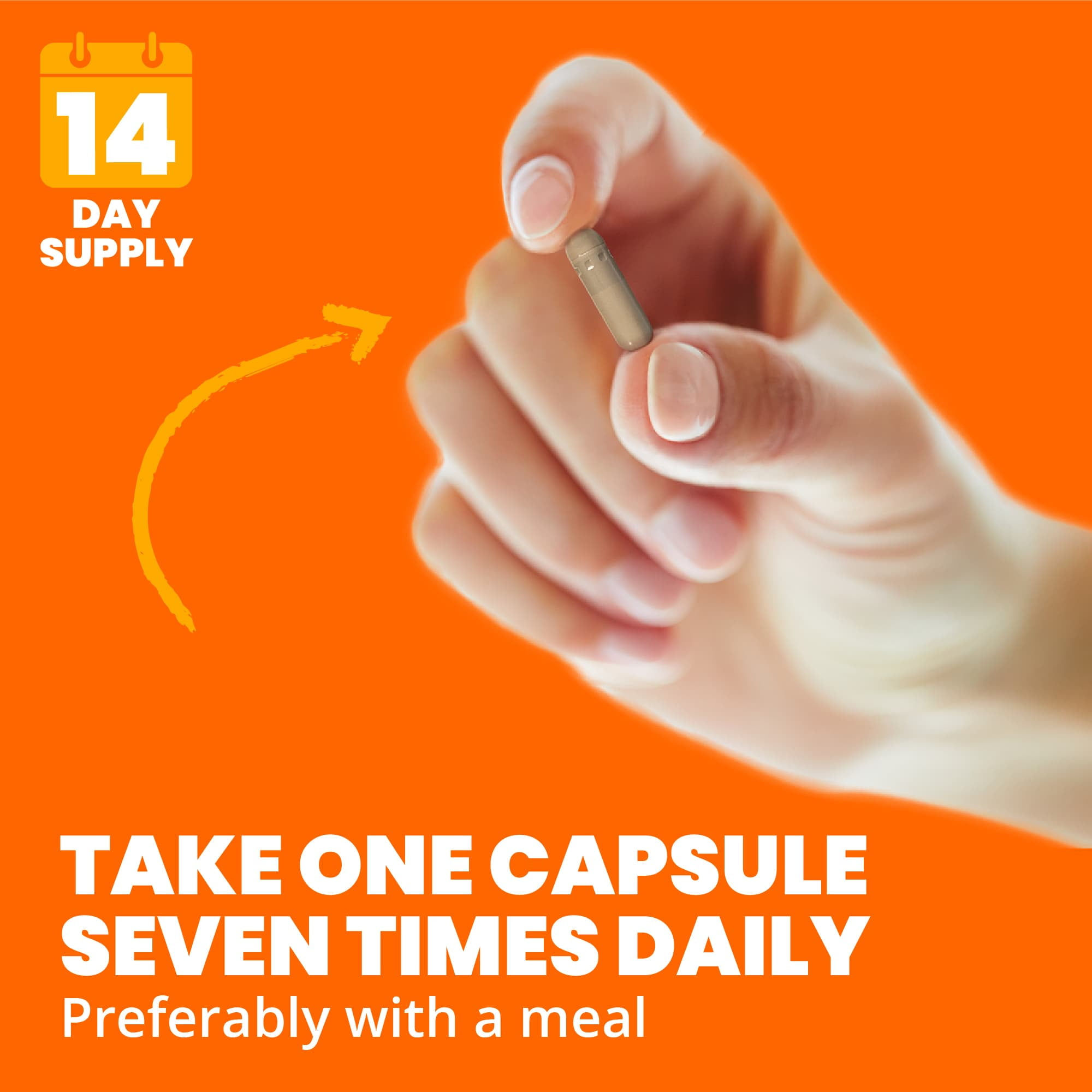 Sundown Echinacea 400mg for Immune Support, 100 Capsules