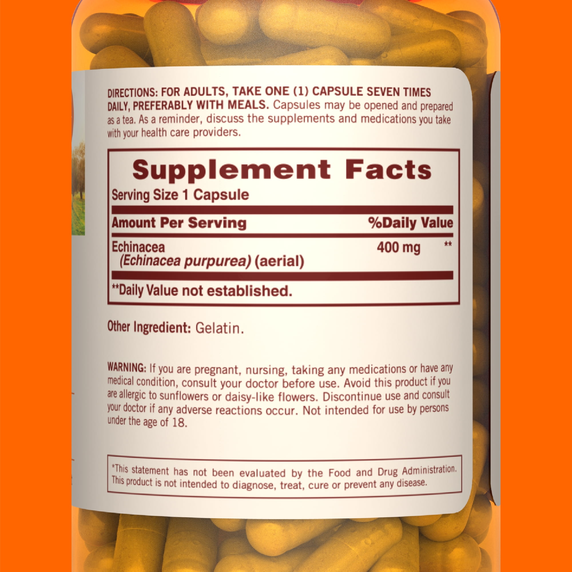 Sundown Echinacea 400mg for Immune Support, 100 Capsules