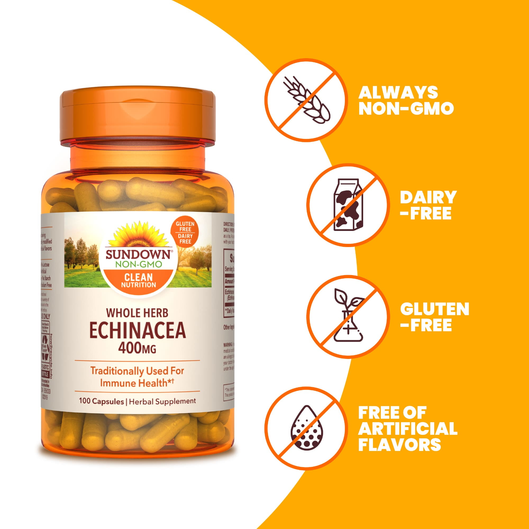 Sundown Echinacea 400mg for Immune Support, 100 Capsules