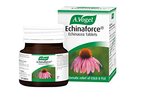 Echinaforce 120 Tablets for Immune Support