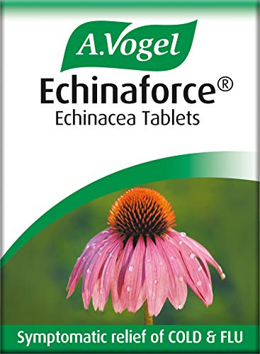 Echinaforce 120 Tablets for Immune Support