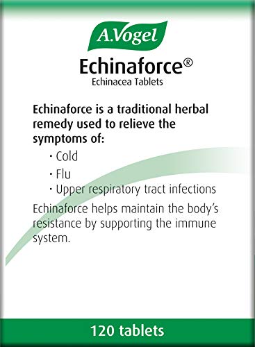 Echinaforce 120 Tablets for Immune Support