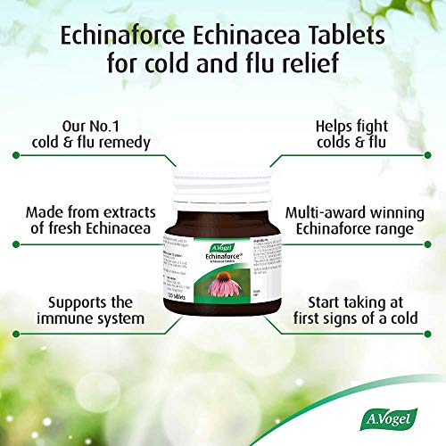 Echinaforce 120 Tablets for Immune Support