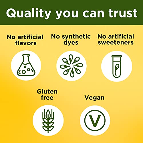 Vegan Ashwagandha Gummies for Stress Relief, 60 Count