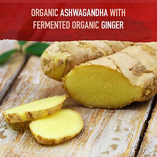 Garden of Life Organic Ashwagandha with Probiotics