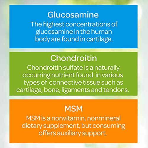Puritan's Pride 3-a-Day Glucosamine, Chondroitin & MSM