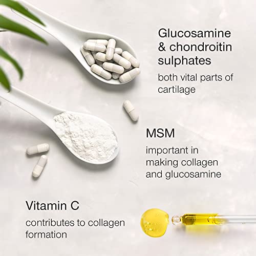 High Strength Glucosamine and Chondroitin Complex