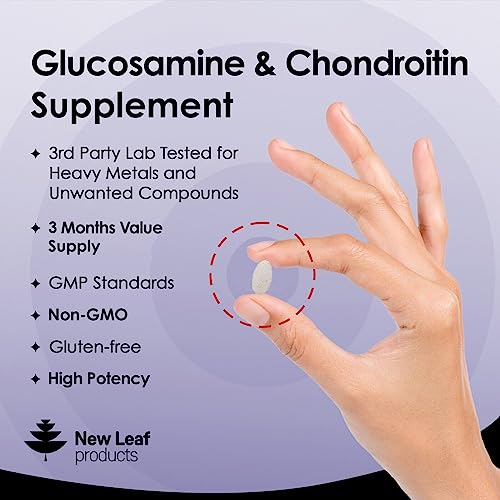 High Strength Glucosamine and Chondroitin with MSM