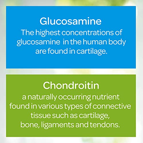 Puritan's Pride Glucosamine Chondroitin 120 Capsules