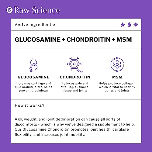 Joint Health Glucosamine Chondroitin MSM Capsules, 120 Count