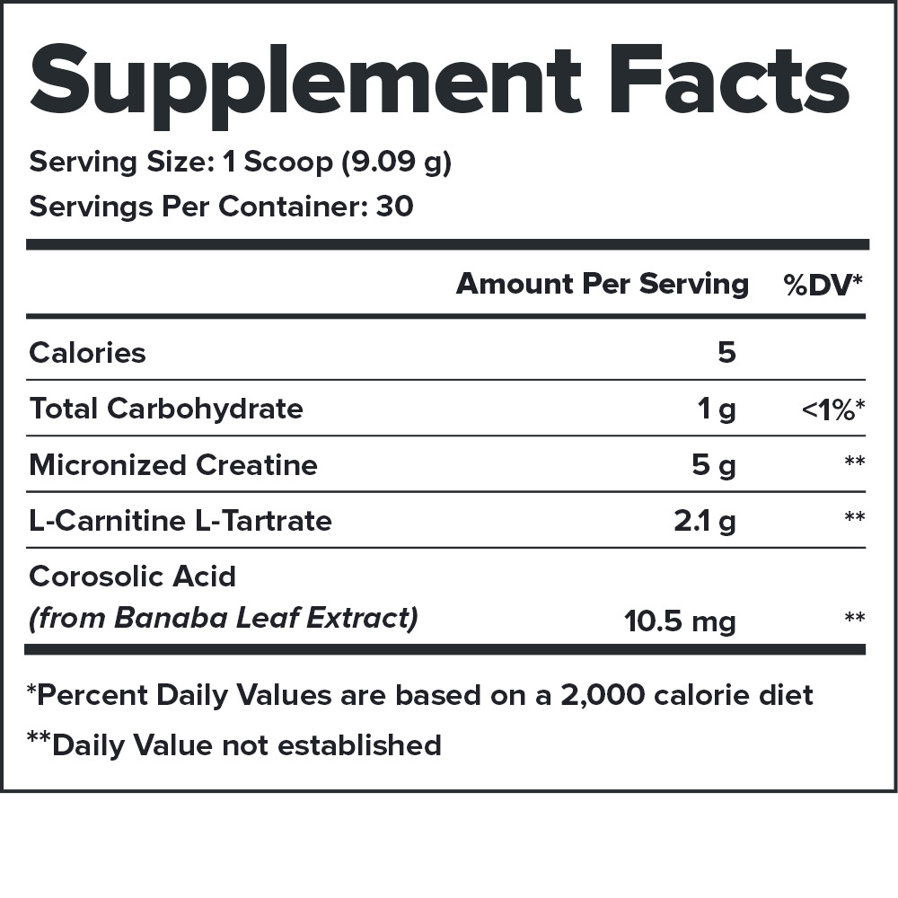 Legion Recharge Post Workout Creatine - Fruit Punch