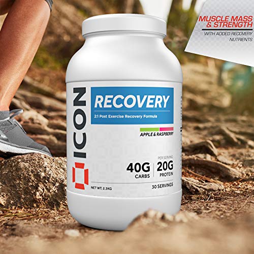 Apple Raspberry Protein Powder for Post Workout Recovery