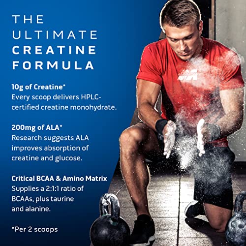 MuscleTech Cell-Tech Creatine Powder - Fruit Punch, 3 lbs
