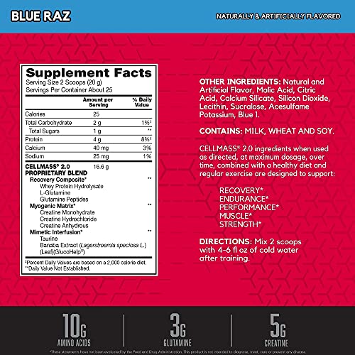 BSN Cellmass 2.0 Post Workout Recovery – Blue Raz