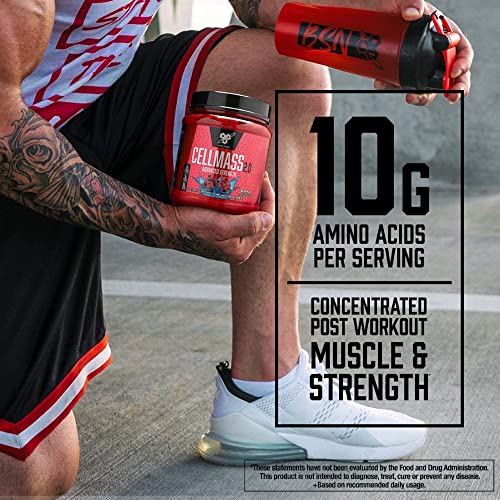 BSN Cellmass 2.0 Post Workout Recovery – Blue Raz