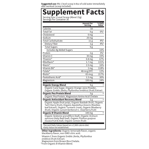Garden of Life Vegan Plant Based Recovery Powder