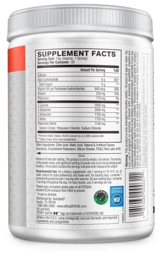 Xtend BCAA Strawberry Kiwi Splash 441g Powder
