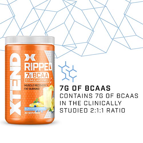 Xtend Ripped BCAA Powder for Sports Nutrition