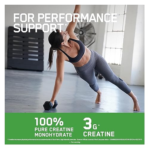 Optimum Nutrition Micronised Creatine Powder 317g