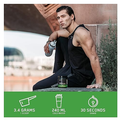 Optimum Nutrition Micronised Creatine Powder 317g