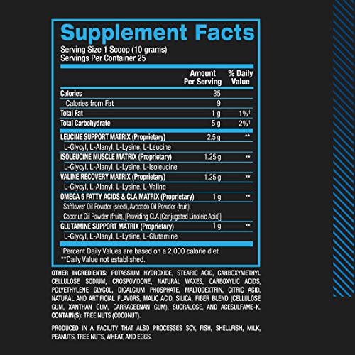 BCAA and Glutamine Aminos Supplement, Fruit Punch
