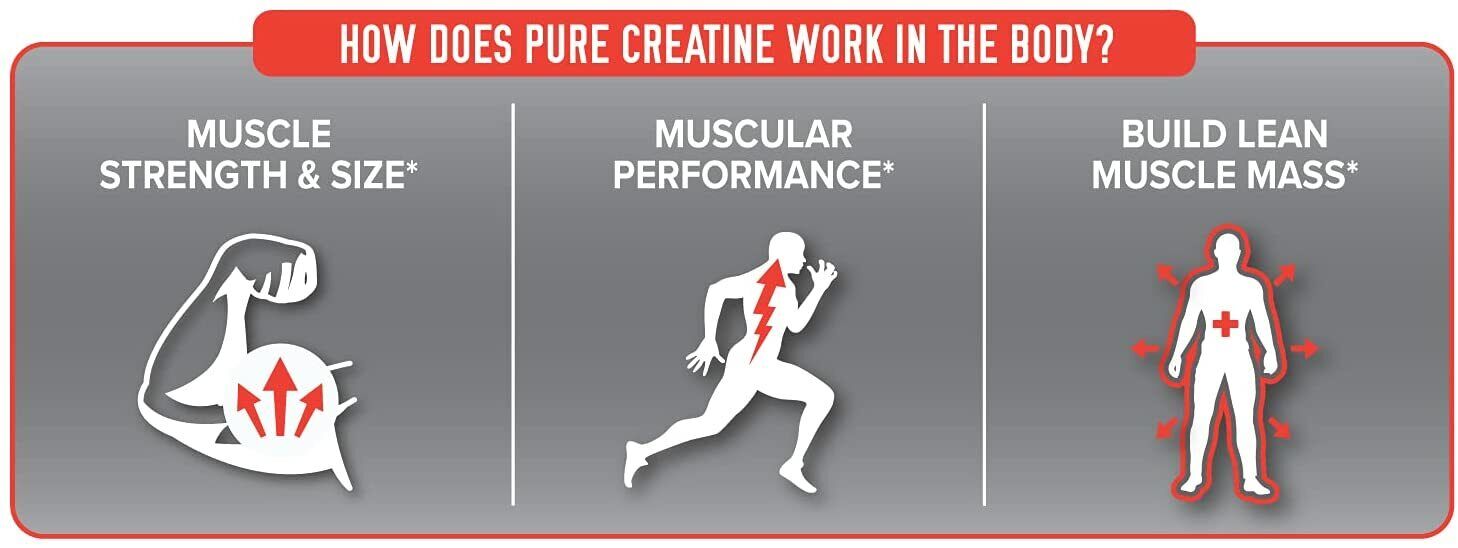 Pure Micronized Creatine Powder for Muscle Growth