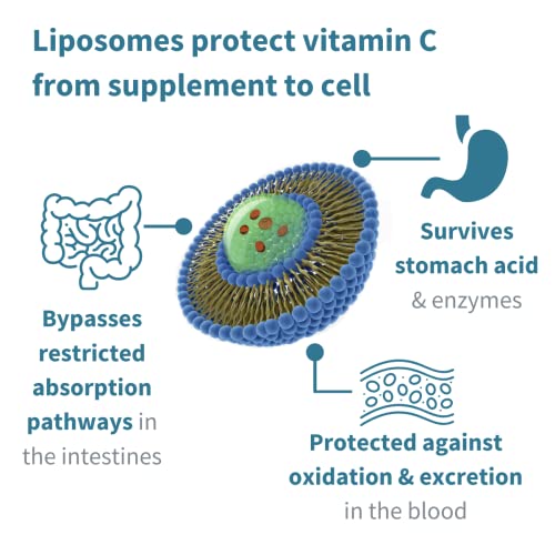 Liposomal Vitamin C 1000mg & Zinc Immune Boost