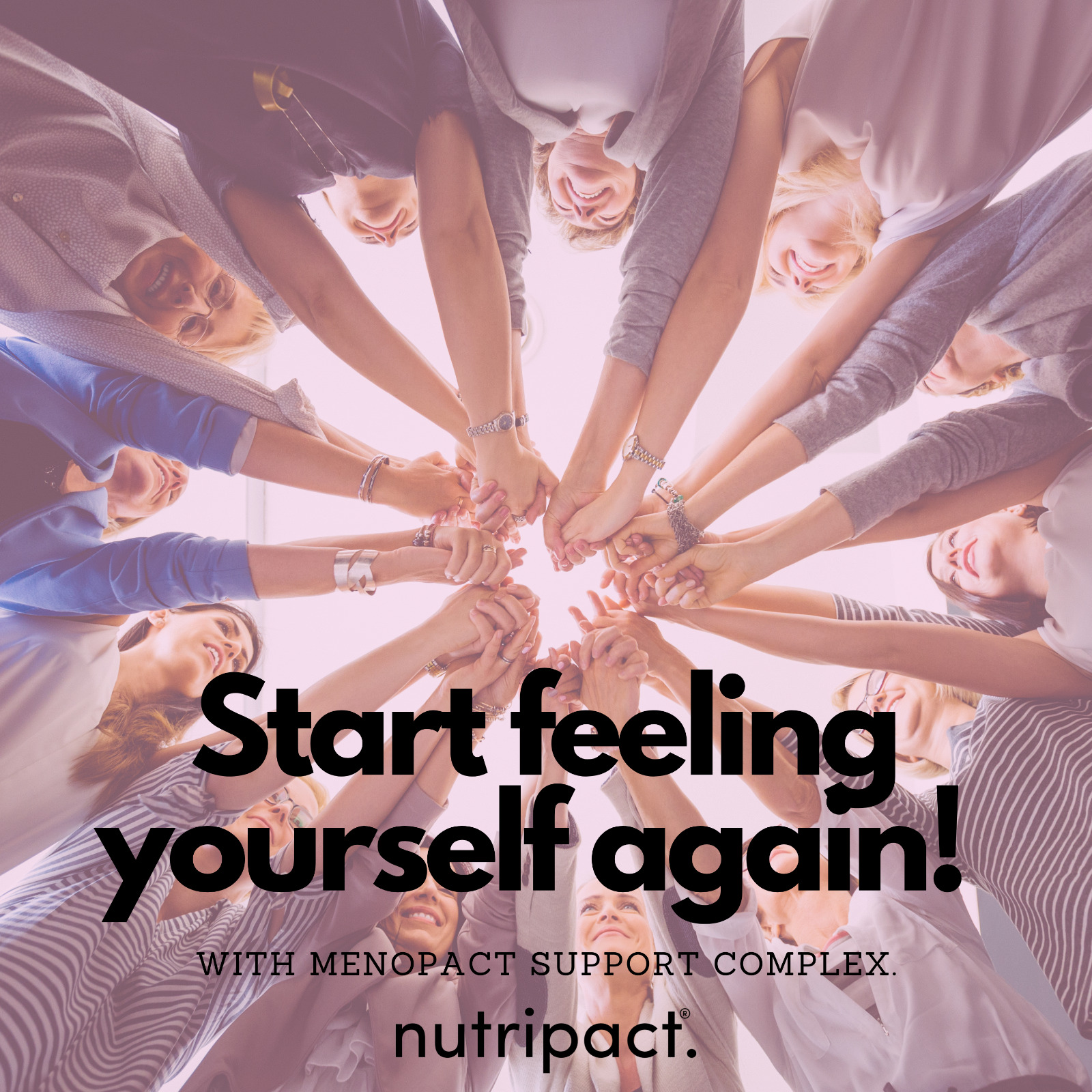 Meno Pact Support Complex for Menopause Relief