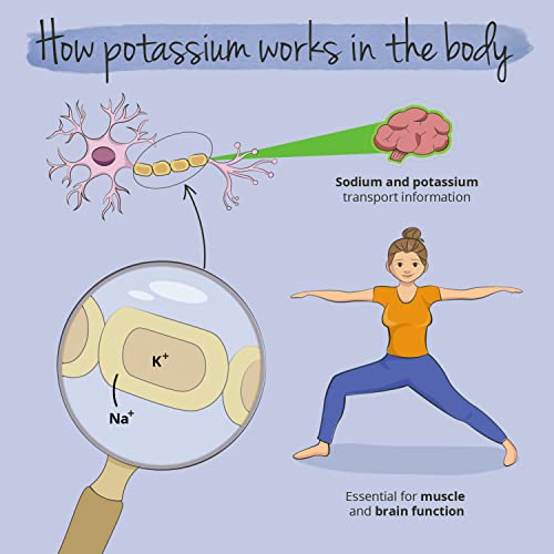 High-Dose Vegan Potassium Citrate 1390 mg