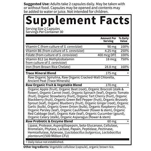 Garden of Life Vitamin Code Healthy Blood Capsules