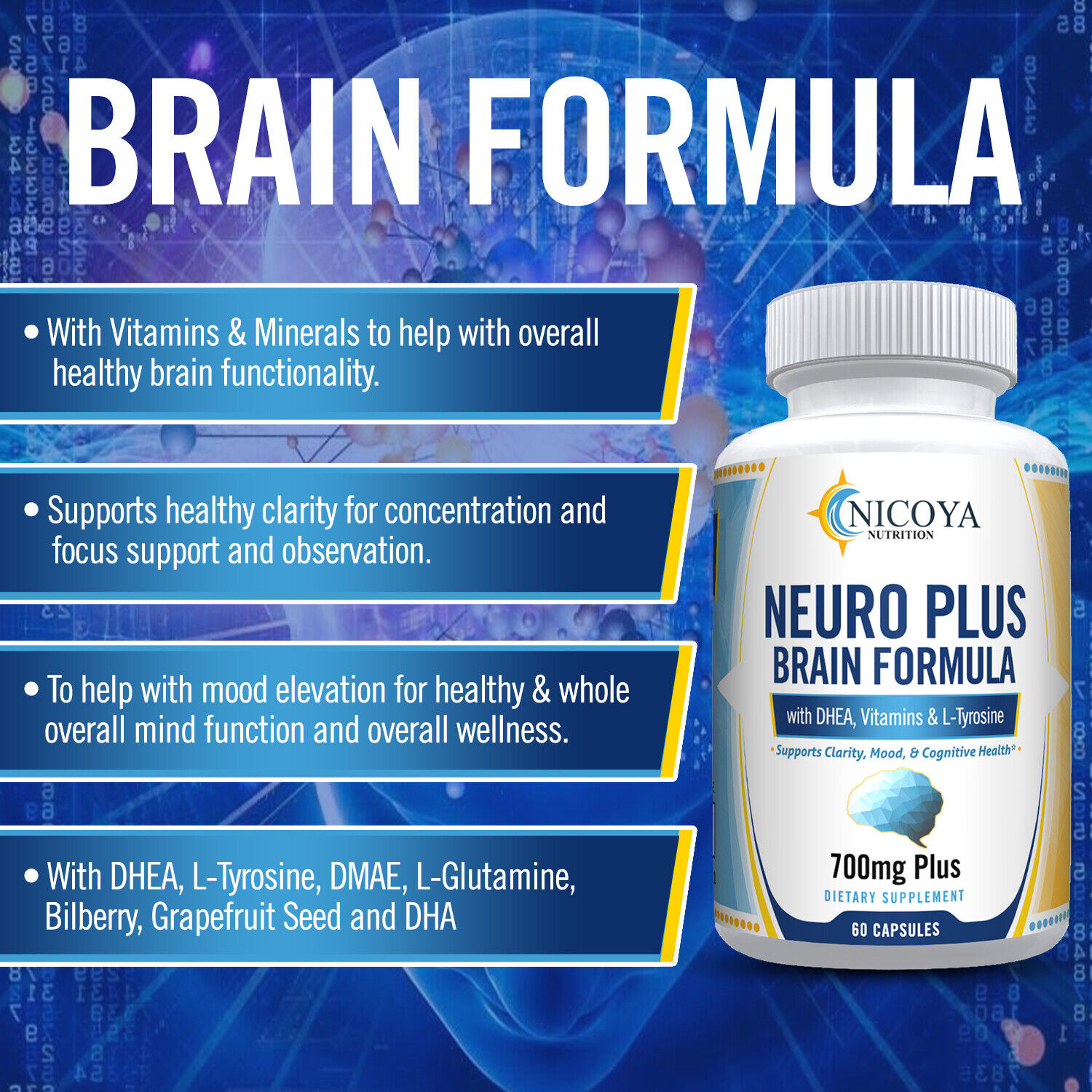 Memory and Focus Boosting Brain Supplements