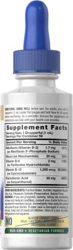 Carlyle Sublingual B Complex with B12, Berry Flavor