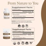 Lion's Mane Mushroom Extract Powder, 120 Capsules