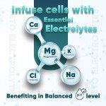 Vegan Sugar-Free Electrolyte Supplement, 180 Tablets