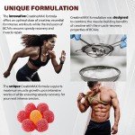 Creatine MAX Gummies, 5000mg Creatine, Vegan Berries