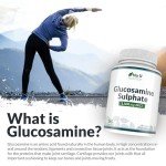 Glucosamine 1500 mg - 365 Tablets - High Potency