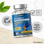 High Strength Glucosamine 1500mg - 360 Tablets