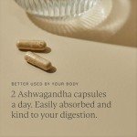 Wild Nutrition Ashwagandha KSM 66 Capsules for Stress