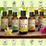 St. John's Wort Oil 50ml - Pure Carrier Oil