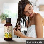 St. John's Wort Oil 50ml - Pure Carrier Oil