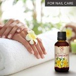 St. John's Wort Oil 50ml - Pure Carrier Oil