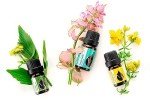 Organic St. John's Wort Essential Oil 5 ml