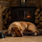 Dorwest Valerian Drops for Calming Dogs & Cats