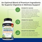 Probiotic with Digestive Enzymes for Gut Health