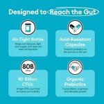 80 Billion CFU Probiotics for Digestive Health