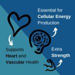 CoQ10 400mg - Heart Health & Energy Support