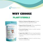 Vegan Plant Sterols 800mg for Heart Health