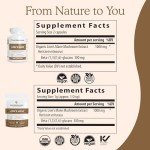 Lion's Mane Powder Capsules for Mental Clarity