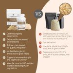 Lion's Mane Powder Capsules for Mental Clarity
