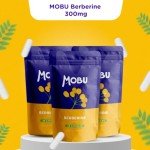 Berberine 300mg Capsules for Gut and Cholesterol Support